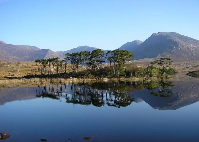 Atlantic Coast Hotel 3*